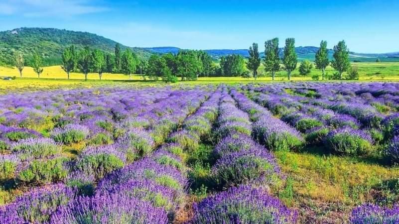 Legkondicionalt, Erkelyes Szoba, Privat Fuerdovel A Balatonon Kőröshegy Dış mekan fotoğraf